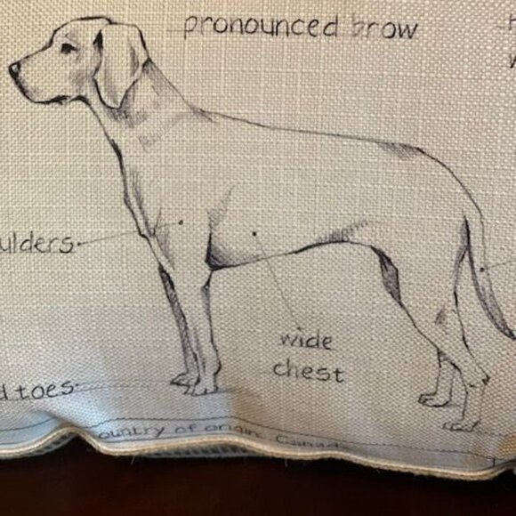 Decorative Splashworks Labrador Retriever Dog Breed Pillow - Picture 8 of 10